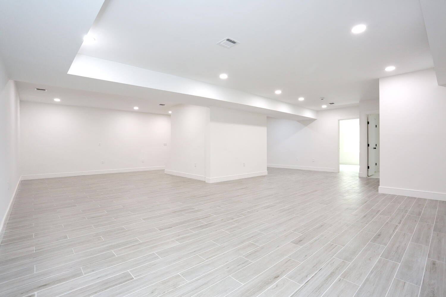 Park Ridge basement — Lower Level Main Living Area Open Layout — Dadak LLC